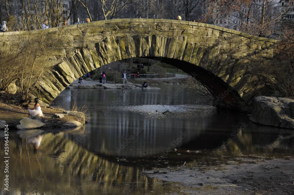 Fototapeta premium View from Central Park in Manhattan New York, NY