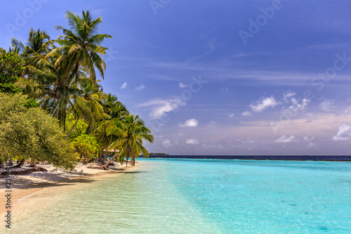 Tropical lonely beach at Maldives with blue sky  palm trees and turquoise water