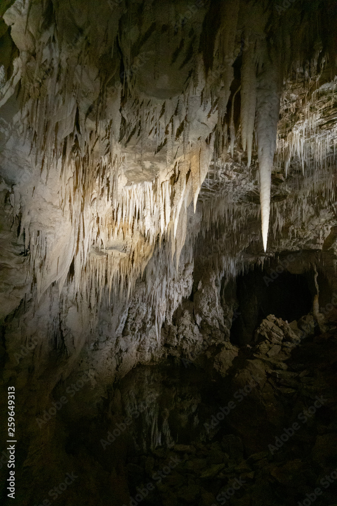 View of stalactites in Ruakuri Cave in Waitomo in New Zealand