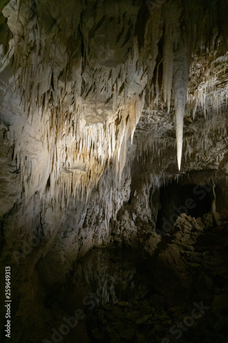 View of stalactites in Ruakuri Cave in Waitomo in New Zealand