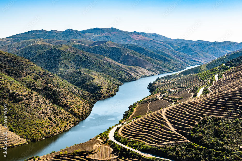 River Douro next to the mouth of the river Coa - obrazy, fototapety, plakaty 