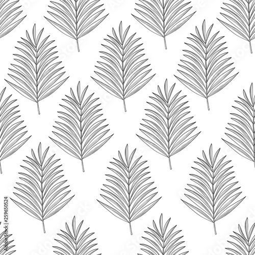 Seamless hand drawn tropic exotic botanical vector pattern texture with rainforest jungle tree palm leaves foliage. Black and white illustration. Twilight night time.