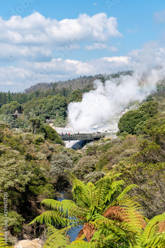 Geysers Erupting at Te Puia near Rotorua in New Zealand