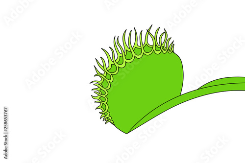 Simple drawing of a Venus flytrap leaf, vector illustration