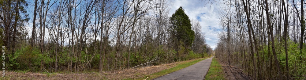 Views of Nature and Pathways along the Shelby Bottoms Greenway and Natural Area Cumberland River frontage trails, bottomland hardwood forests, open fields, wetlands, and streams, Nashville, Tennessee. Views of Nature and Pathways along the Shelby Bottoms Greenway and Natural Area Cumberland River frontage trails, bottomland hardwood forests, open fields, wetlands, and streams, Nashville, Tennessee.