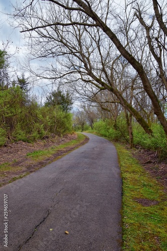Views of Nature and Pathways along the Shelby Bottoms Greenway and Natural Area Cumberland River frontage trails, bottomland hardwood forests, open fields, wetlands, and streams, Nashville, Tennessee.