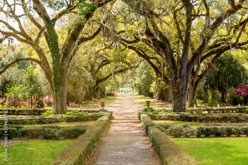 The landscape of southern plantation