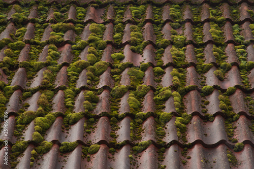 Red tile roof texture background. roof overgrown with moss