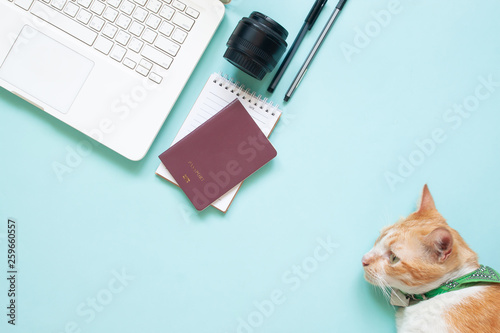 Flat lay of modern workspace desk with laptop, passport, camera lens and cat on blue colour. Travel, hobby and lifestyle concept
