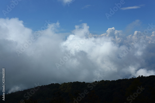 fluffy mist cloud on sky above evergreen mountain of green jungle woods © sutichak