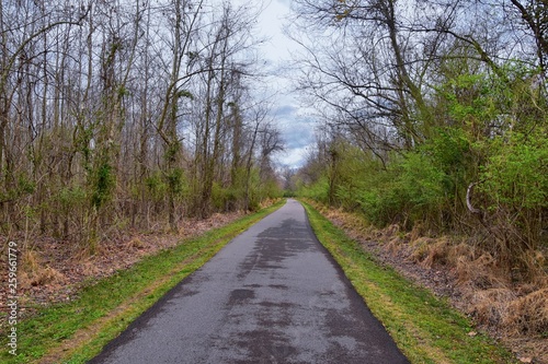 Views of Nature and Pathways along the Shelby Bottoms Greenway and Natural Area Cumberland River frontage trails, bottomland hardwood forests, open fields, wetlands, and streams, Nashville, Tennessee.