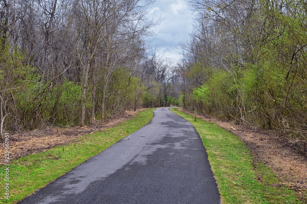 Views of Nature and Pathways along the Shelby Bottoms Greenway and Natural Area Cumberland River frontage trails, bottomland hardwood forests, open fields, wetlands, and streams, Nashville, Tennessee. Views of Nature and Pathways along the Shelby Bottoms Greenway and Natural Area Cumberland River frontage trails, bottomland hardwood forests, open fields, wetlands, and streams, Nashville, Tennessee.