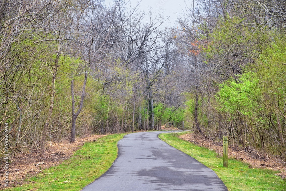 Obraz premium Views of Nature and Pathways along the Shelby Bottoms Greenway and Natural Area Cumberland River frontage trails, bottomland hardwood forests, open fields, wetlands, and streams, Nashville, Tennessee.