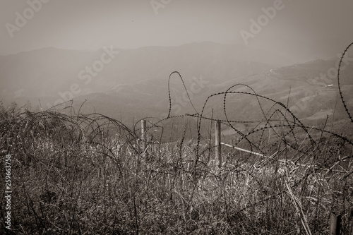 landscape Tangled barbed wire in the Vietnam War