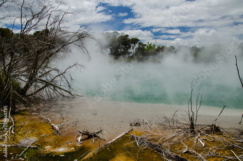 Thermal pools in Kuirau Park, Rotorua, North Island, New Zealand