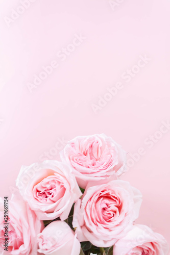 bouqet delicate pink roses on pink background