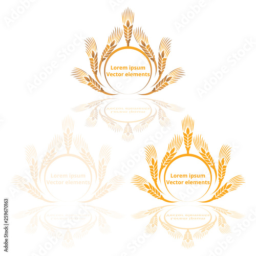 Wheat ears, oats or barley three vector logotypes set golden on white background