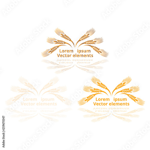 Wheat ears, oats or barley three vector logotypes set golden on white background