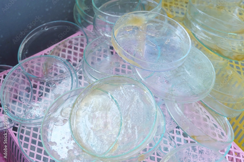Chemical tube set development and pharmacy in laboratory with multicolored substances in laboratory - Image Chemical tube set development and pharmacy in laboratory with multicolored substances in laboratory - Image