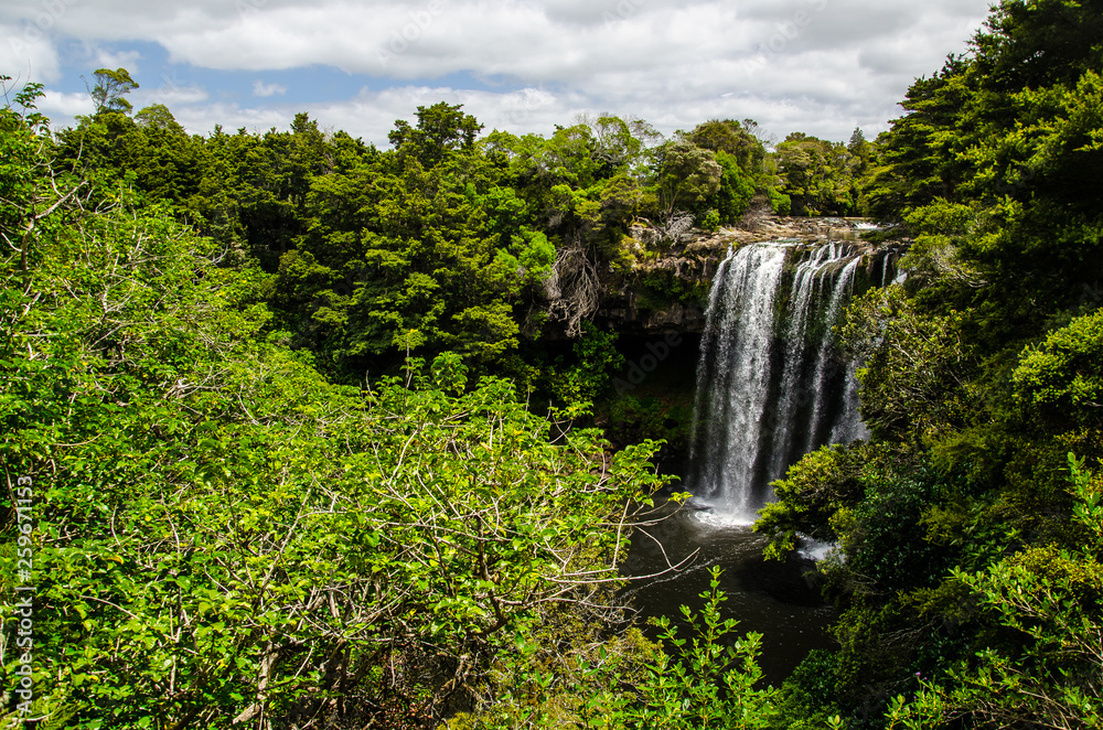 Rainbow falls waterfall in Kerikeri at Northland, North Island, New Zealand