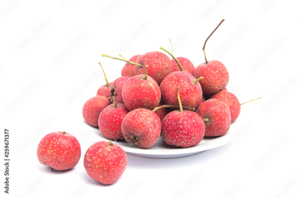 hawthorn hawthorn