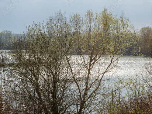 lac au printemps dans la Base de Loisirs du Val de Seine à l'ouest de Paris