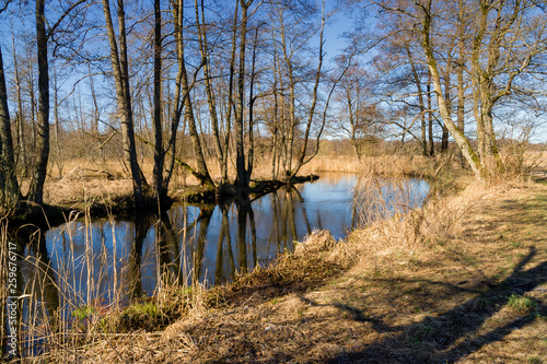 Dolina rzeki Supraśl, Puszcza Knyszyńska, Wiosna na Podlasiu