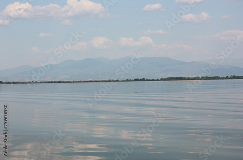 Lake of Kerkini Serres Greece Europe