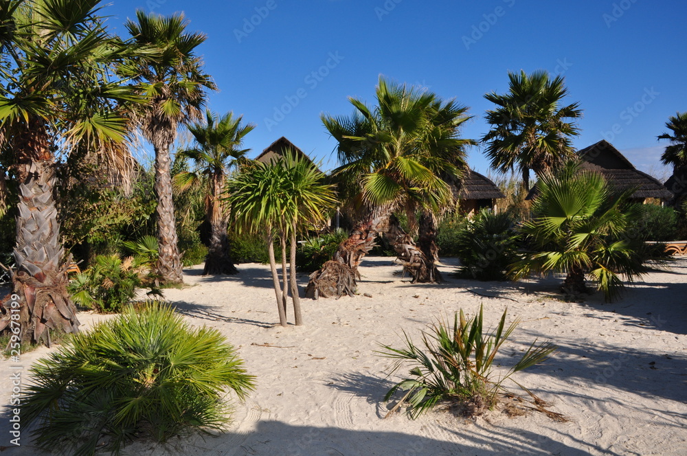 Fototapeta premium Beach
