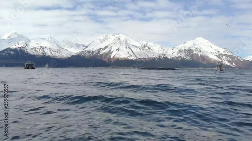 Wallpaper Mural Amazing views from Alaska  Torontodigital.ca