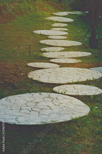 path in park, Walkway around home by artificial grass , architecture design of grass field around home, artificial grass, home outdoor decoration concept