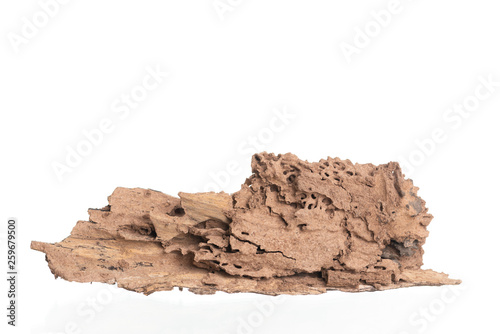 Piece of wood damaged and eaten by termite isolated on white