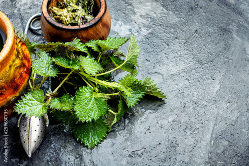 Healing tea with nettle photo