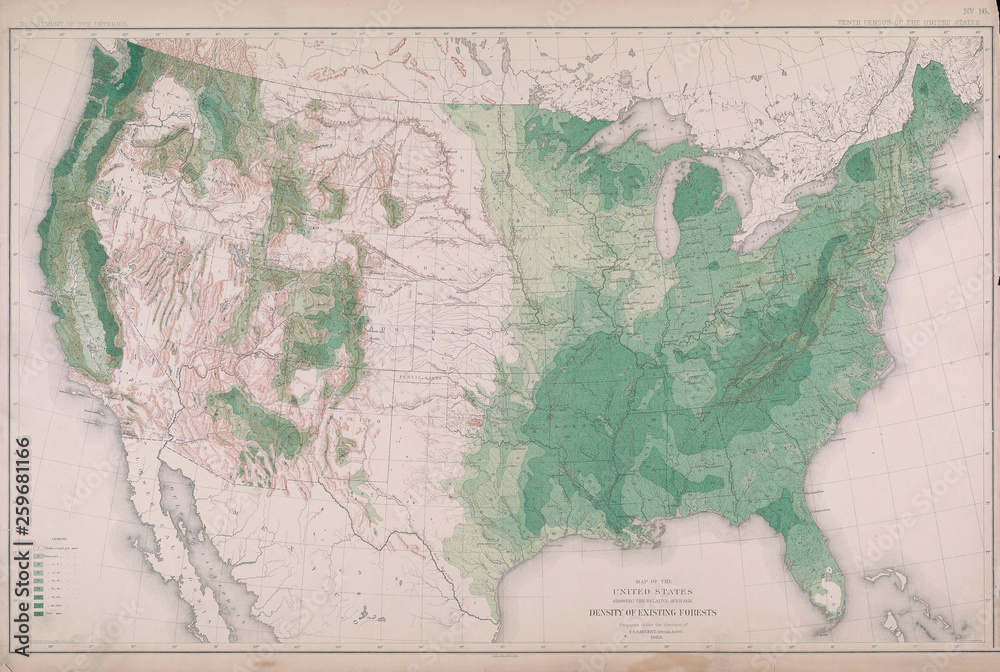 Obraz premium Forest map of America.