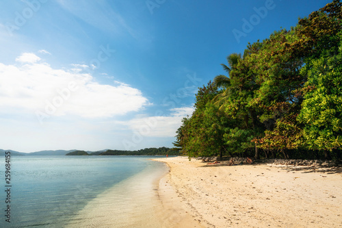 Fototapeta Naklejka Na Ścianę i Meble -  Sandy wild beach with turquoise water and green trees on tropical Cagsalay island, Philippines