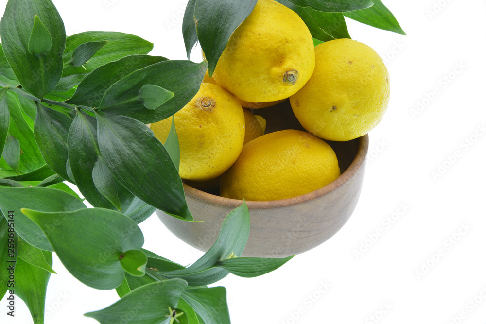 lemons on the tree leaves