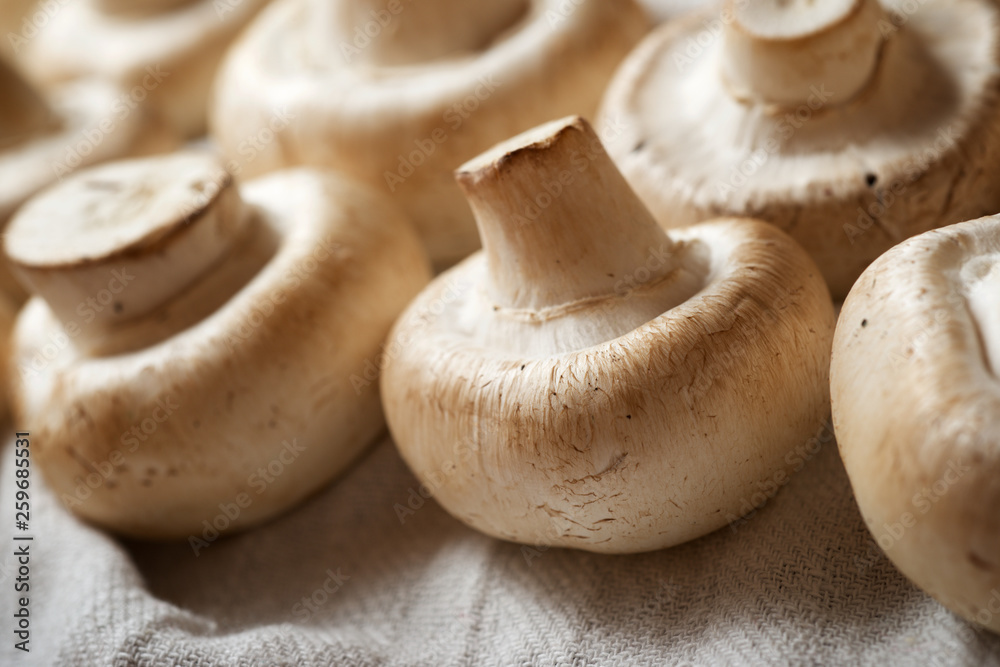 Mushrooms close up Mushrooms close up