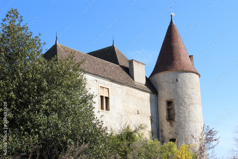 Château La Palud Quincié en Beaujolais