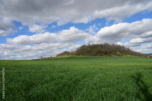 Paysage de culture, Auvergne