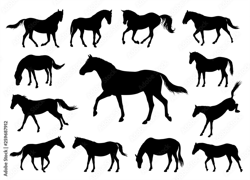 Horses silhouettes graphic vector illustration set