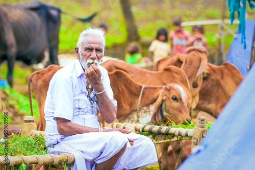 Rural India , Indian farmer photo