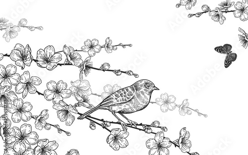 Branches of a Japanese cherry tree, bird and butterflies. Vintage card.