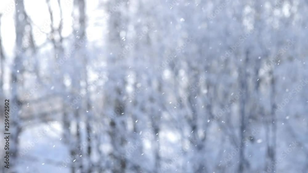 霧氷に覆われた木々とダイヤモンドダスト 霧氷に覆われた木々とダイヤモンドダスト
