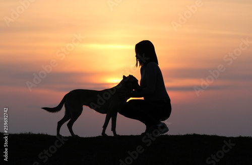Fototapeta Naklejka Na Ścianę i Meble -  Silhouettes at sunset, girl and dog against the backdrop of an incredible sunset, Belgian Shepherd Malinois, hugging