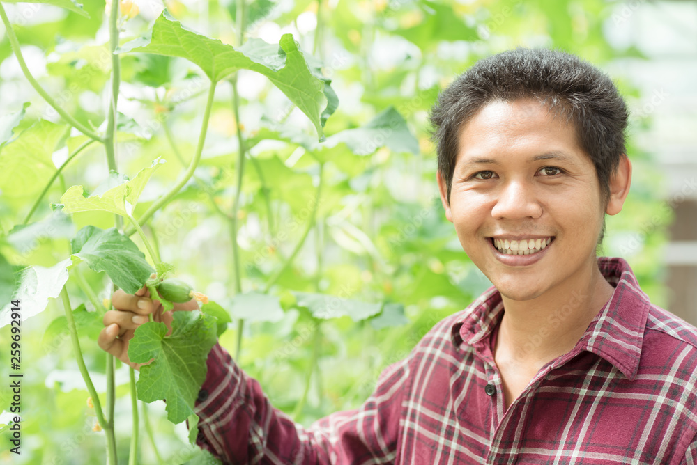 Asian farmer holding young melon fruit growing in melon farm Asian farmer holding young melon fruit growing in melon farm