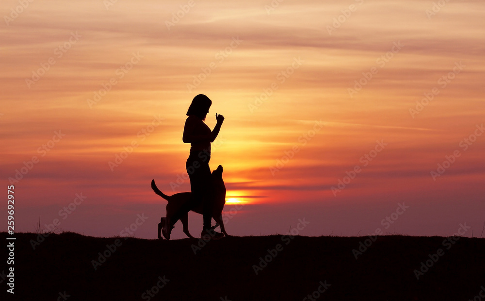 Fototapeta premium Silhouettes at sunset, girl and dog running against the backdrop of an incredible sunset, Belgian Shepherd Malinois