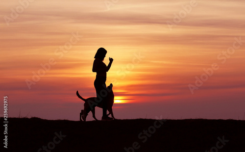 Silhouettes at sunset, girl and dog running against the backdrop of an incredible sunset, Belgian Shepherd Malinois