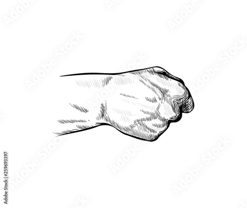 Hand of a man clenched into a fist, view from the back side. Arm symbol of struggle, gesture of strength, protest, fight and protection. Male wrist, part of the body. Vector hand drawn lines sketch 