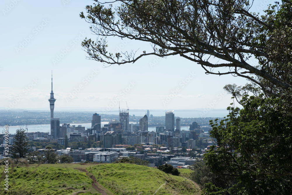 Obraz premium Elevated view of the centre of Auckland City from the summit of the volcanic crater of Mount Eden, framed by the branches of a pohutukawa tree, with the North Shore and Hauraki Gulf in the background.