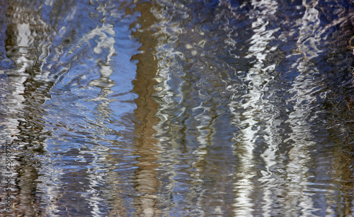 the blurred reflection of trees in water